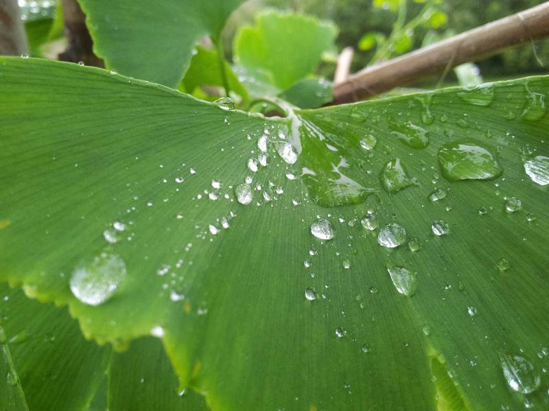 水浒传忠义堂<br>qyf5seag.cn 替天行道旗帜